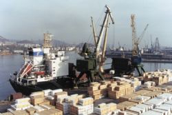 Клик увеличить фото n11392012614514650n.jpg