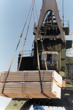 Клик увеличить фото n1139201261451467n.jpg