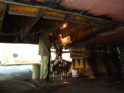 Клик увеличить фото n5392012614515330n.jpg