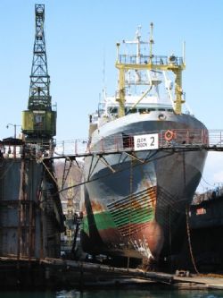 Клик увеличить фото n138392013522412154n.jpg