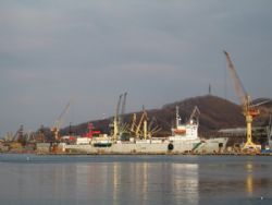 Клик увеличить фото n1603920153195113342n.jpg