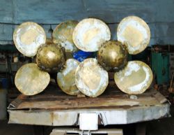 Клик увеличить фото n164392015624493551n.jpg