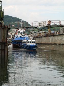 Клик увеличить фото n1653920158172103612n.jpg