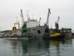 Клик увеличить фото n17639201683411318n.jpg