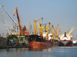 Клик увеличить фото n1783920161117510527n.jpg