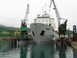 Клик увеличить фото n1803920175174101959n.jpg