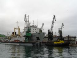 Клик увеличить фото n1803920175174102011n.jpg