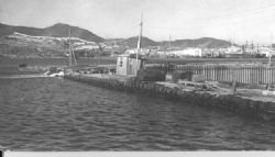 Клик увеличить фото n185392017929691918n.jpg