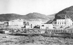 Клик увеличить фото n185392017929692024n.jpg