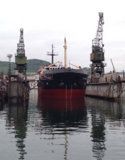 Клик увеличить фото n186392017106684826n.jpg