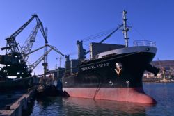 Клик увеличить фото n191392018112738250n.jpg