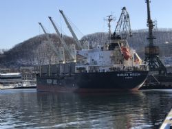 Клик увеличить фото n191392018112738333n.jpg