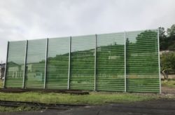 Клик увеличить фото n198392019724474827n.jpg