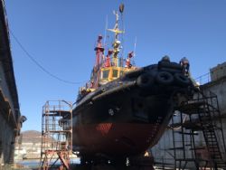 Клик увеличить фото n20039201972668548n.jpg