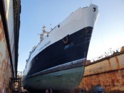 Клик увеличить фото n206392021317494915n.jpg