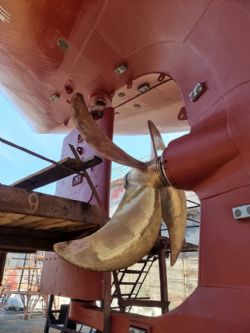 Клик увеличить фото n22339202232459542n.jpg