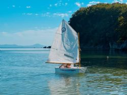 Клик увеличить фото n25339202492656654n.jpg