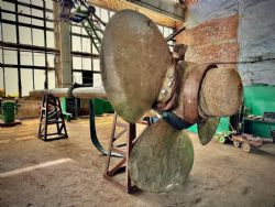 Клик увеличить фото n257392024101649438n.jpg