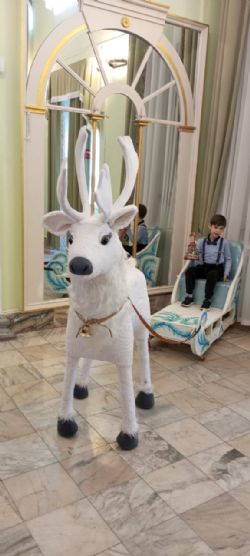 Клик увеличить фото n27039202412254242n.jpg