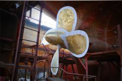 Клик увеличить фото n329392026330242029n.jpg