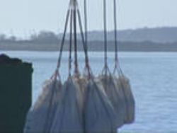 Клик увеличить фото n23392012675155020n.jpg